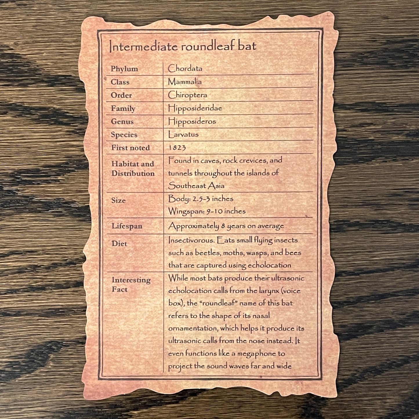 Intermediate roundleaf bat - $10 off