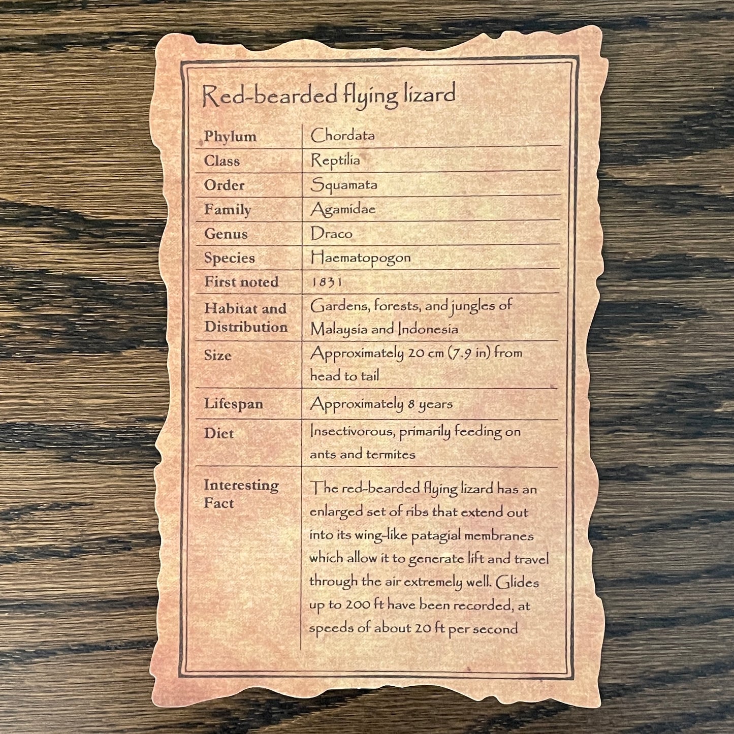 Red-bearded flying lizards - $10 off