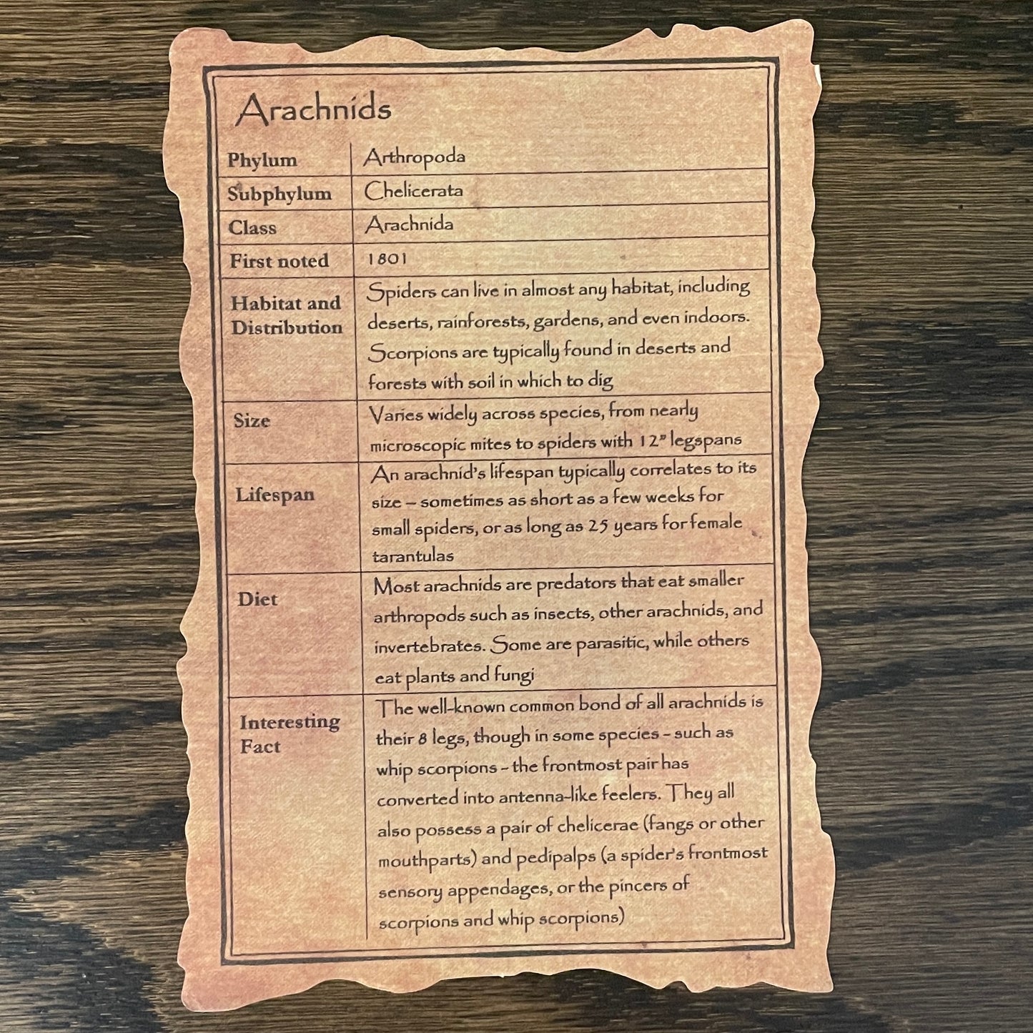 "Arachnids" - 8 spiders, scorpions, and whip scorpions