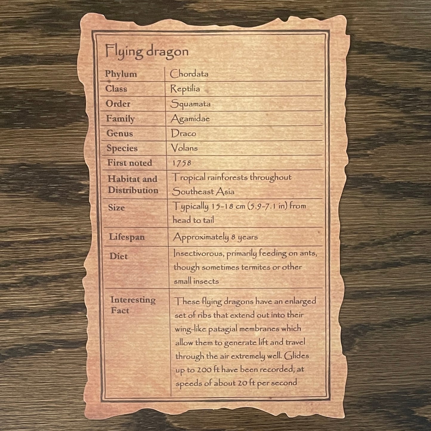 Flying dragon - $10 off