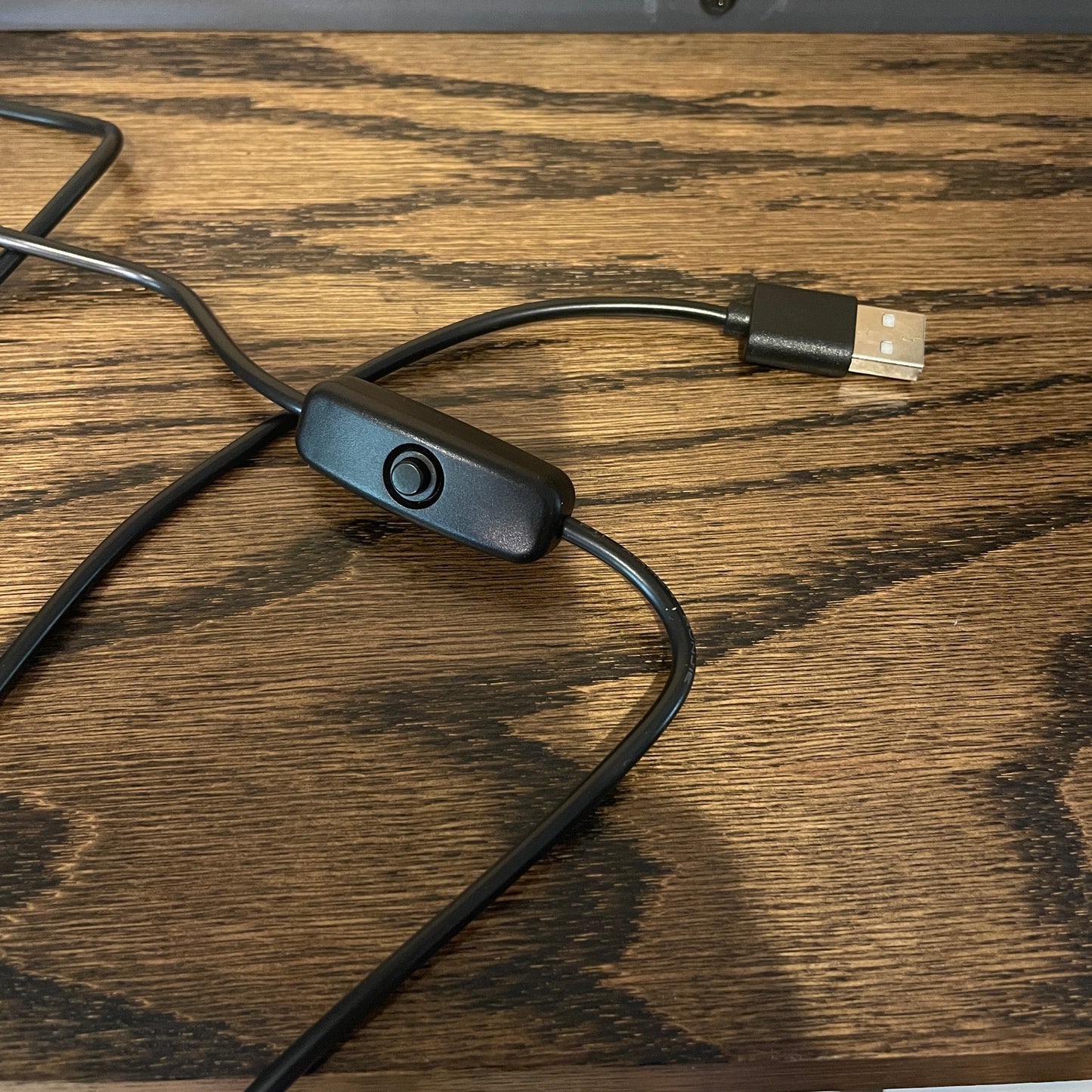 Scorpions with blacklight