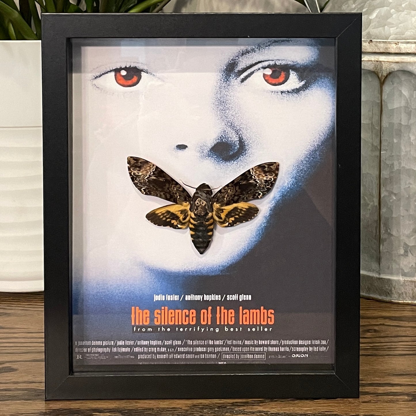 Death's head hawkmoth
