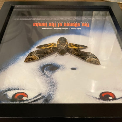 Death's head hawkmoth