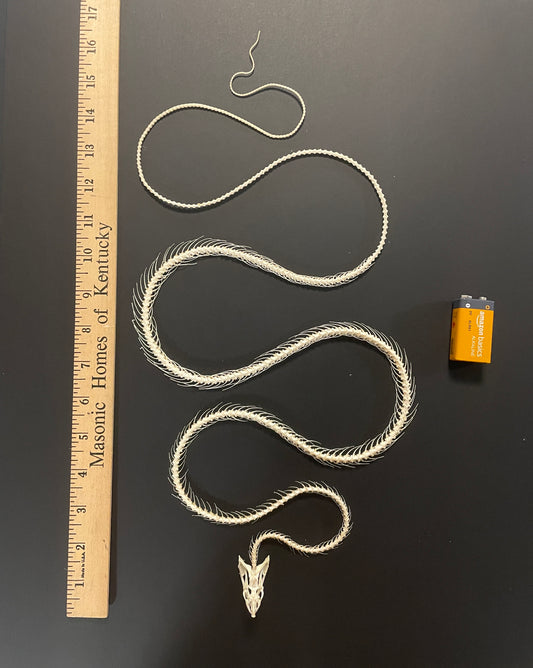 Skeleton: Long (large), skinny snake
